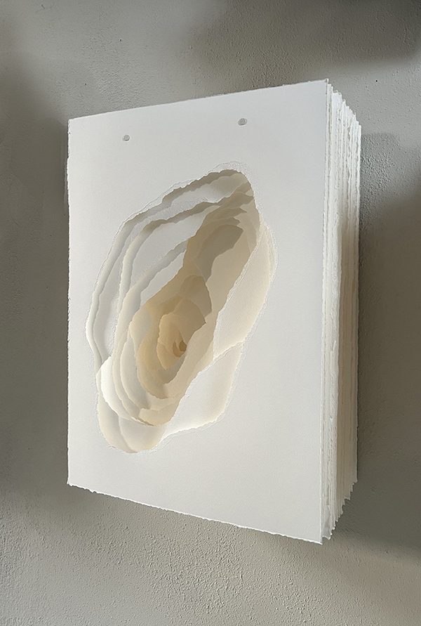 2026-002