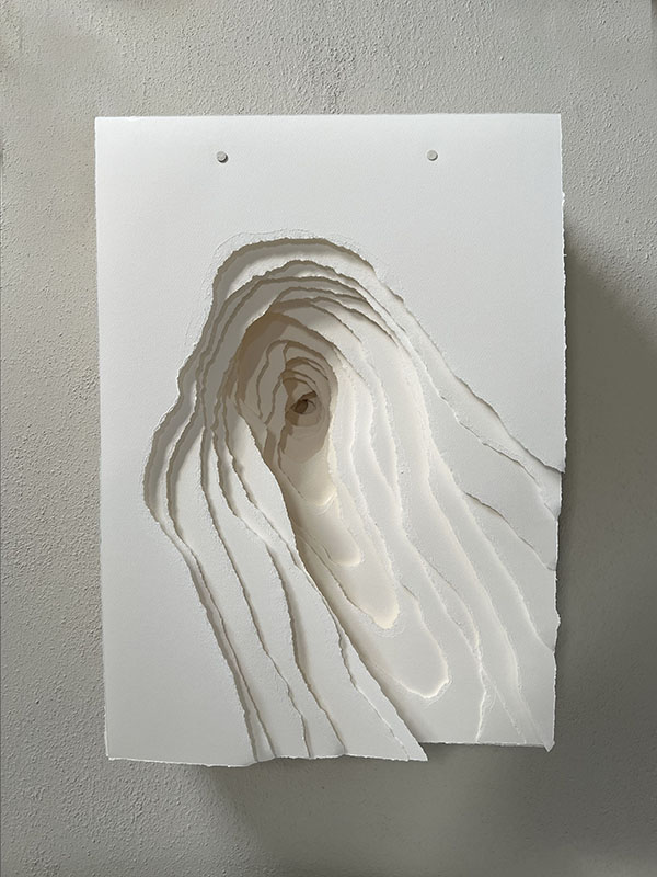 2026-006